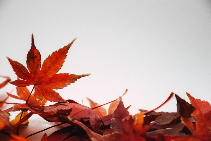 Seasonal Planting