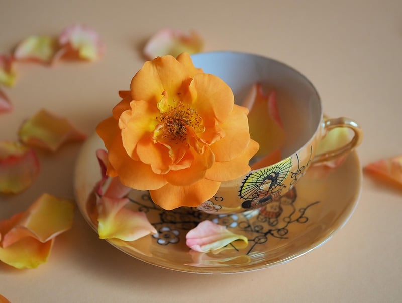 Edible Flowers